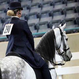 Meet your Posher, Kara